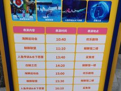 -海合安成都极地海洋公园