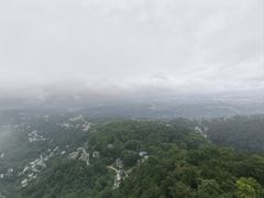 -大金鹰园