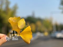 -仁虎老火锅(黄泥磅店)