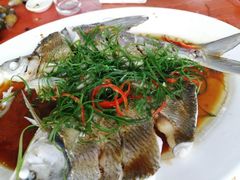 -头塘庄园(农家乐)