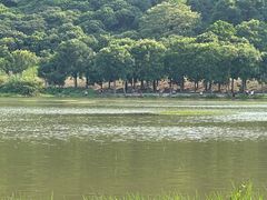 -风云岭森林公园