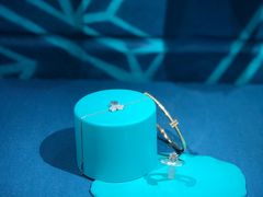 -Tiffany & Co.蒂芙尼
(天津万象城店)