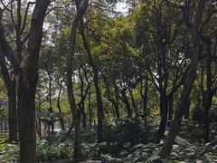 -文华公园(禅城区)
