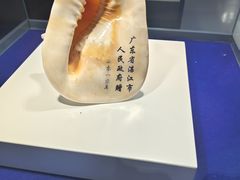 -贝壳王国博物馆