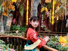 -正佳雨林生态植物园