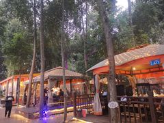 -二荆条·蜀鲜汇城市森林火锅