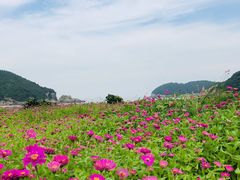 -东海半边山旅游度假区