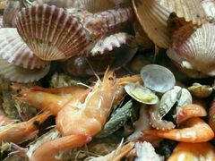 -大锅强·蒸海鲜青岛菜(吾悦广场店)