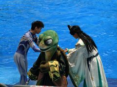-海合安成都极地海洋公园
