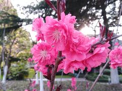 -上海市保健医疗中心(华东疗养院)