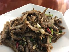 -品雅轩农家乐