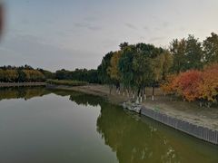 -大兴滨河森林公园