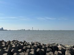 -上海滨江森林公园