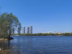 -长白岛森林公园