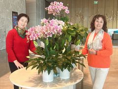 -昆山金鹰尚美酒店·金鹰贵宾楼