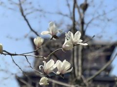 -径山寺