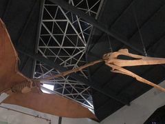 -湖南省地质博物馆