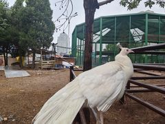 -海合安天津极地海洋公园