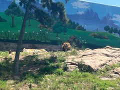 -西霞口神雕山野生动物世界