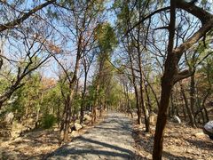 -泰山风景名胜区-普照寺