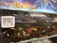 大堂-超级物种·波龙工坊(国贸店)