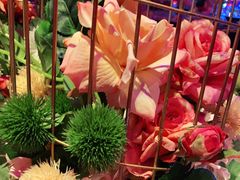 -纯K(打浦桥店)