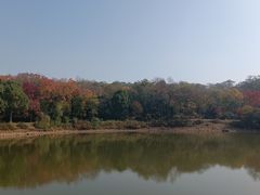-宜兴龙背山森林公园