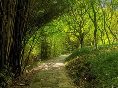 -乖乖佳花园山庄·私房菜(阿哈湖公园店)