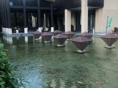 -上海崇明金茂凯悦酒店