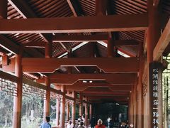 -重庆彩云湖湿地公园