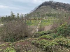 -南京市江宁方山
