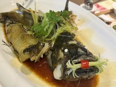 -东国海鲜火锅城(氹仔店)