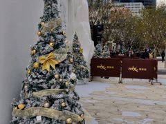 -深圳湾万象城(南山店)