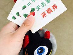-青浦采草莓天天草莓园