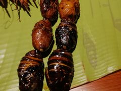 烤茧蛹-曼听小寨海鲜烧烤(锦绣mini店)