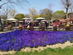 -南通洲际绿博园