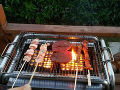 -崇明东平国家森林公园烧烤房车露营地