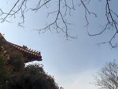 -明故宫遗址公园