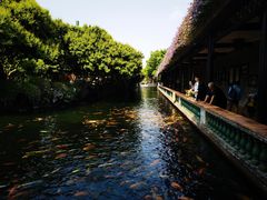 -宝墨园景区