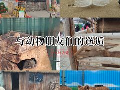 -保定市动物园