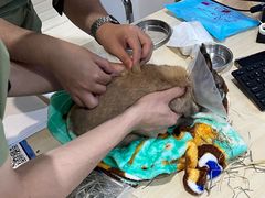 -萌兽医馆·眼科·异宠专科(三里屯店)