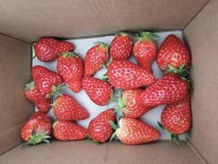 -小鱼草莓采摘园农家乐·小鱼餐厅