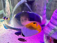 -沈阳海洋探索中心