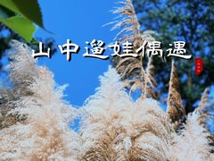 -南京市江宁方山