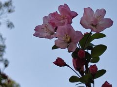 -晶牌烤鸭(延吉东路557弄小区店)