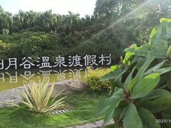 -厦门日月谷温泉渡假村