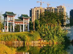 -王借岗森林公园