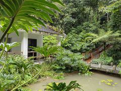 -深圳仙湖植物园
