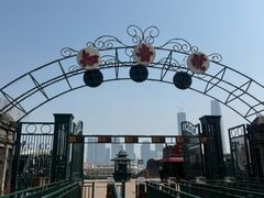 -武汉知音号
