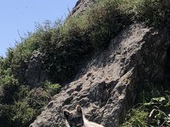 -北京灵山风景区